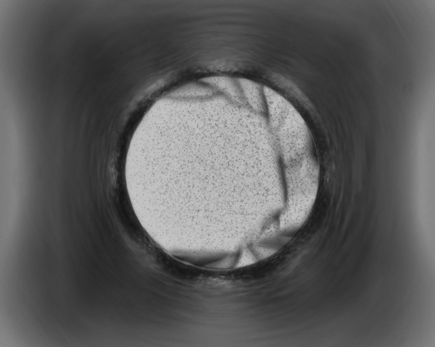 X0000082980635200703020257