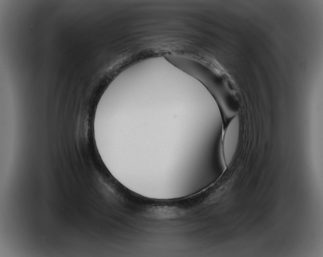 X0000082980637200703020257