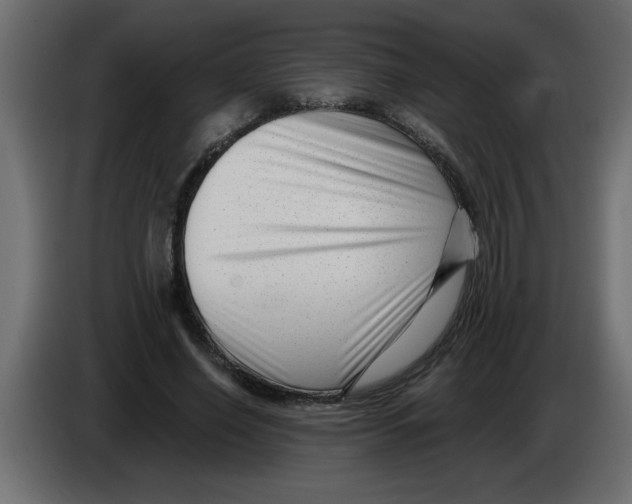 X0000082980638200703020257