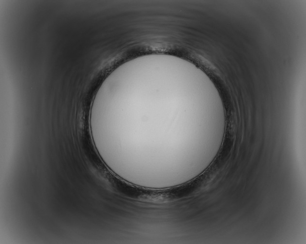 X0000082980639200703020257