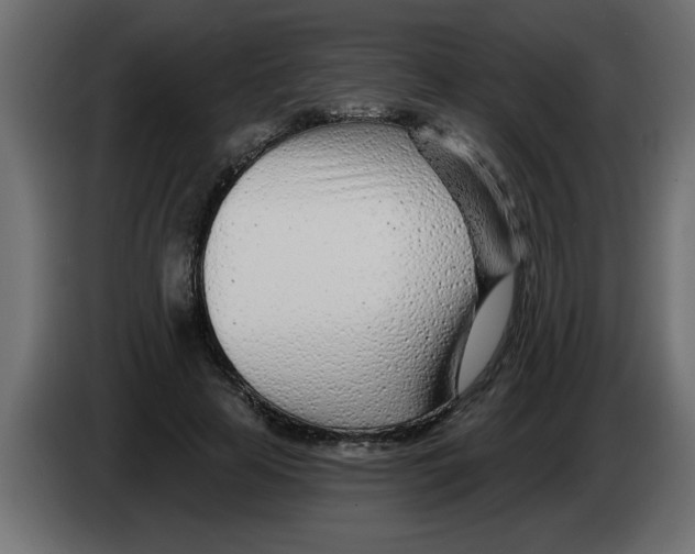 X0000082980641200703020257
