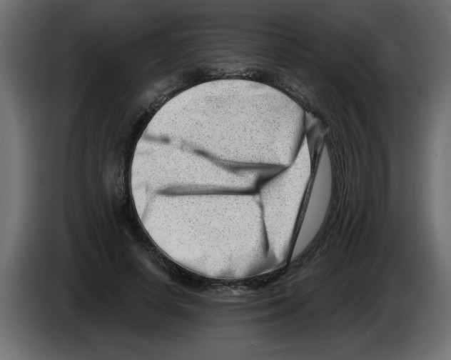 X0000082980642200703020257