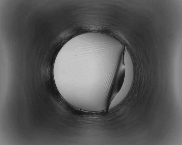 X0000082980643200703020257