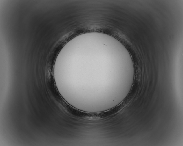 X0000082980644200703020258