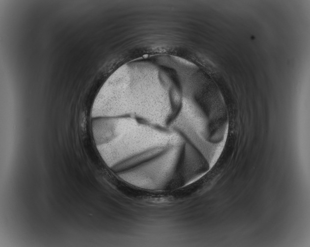 X0000082980646200703020258