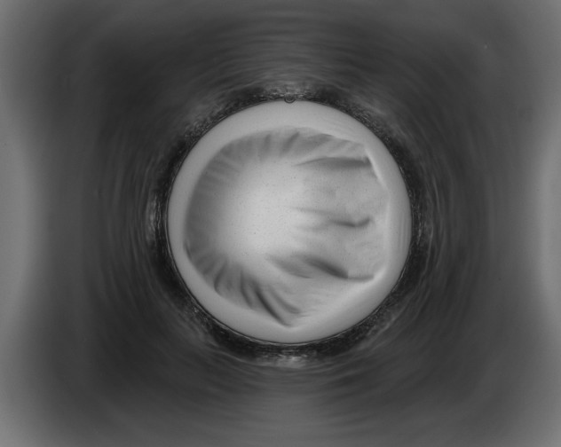 X0000082980647200703020258