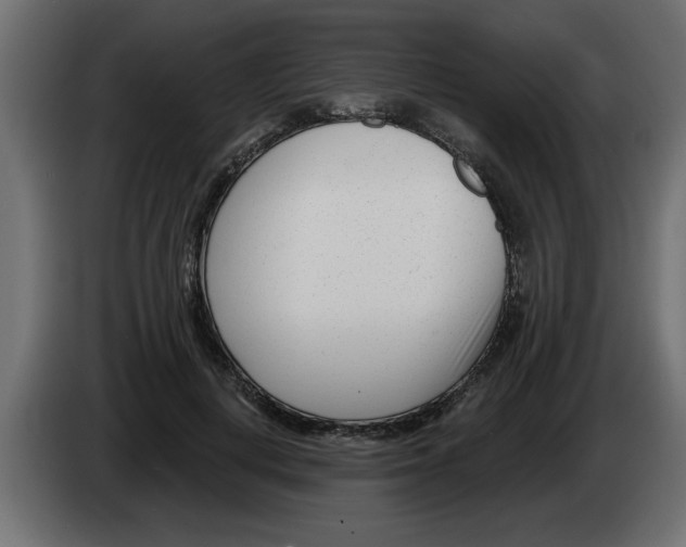 X0000082980648200703020258