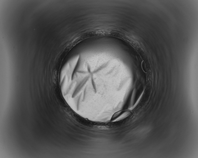 X0000082980649200703020258