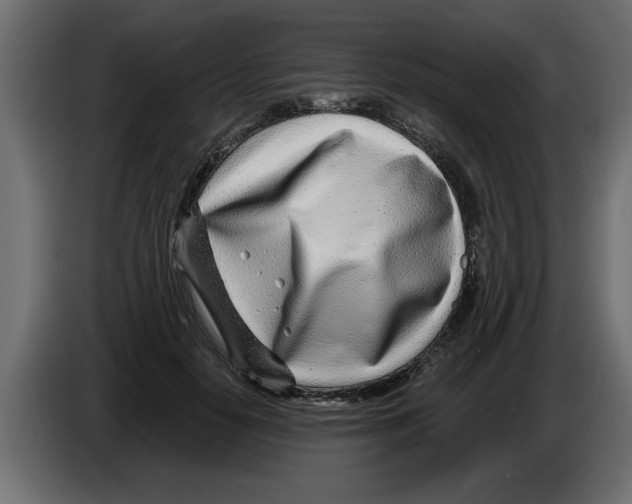 X0000082980650200703020258