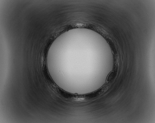 X0000082980651200703020258