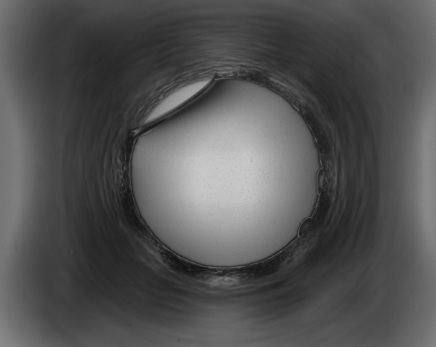 X0000082980653200703020258