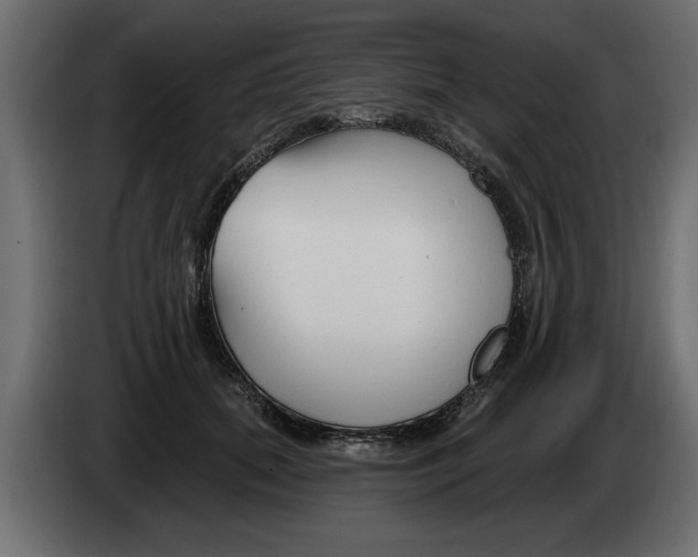 X0000082980655200703020258