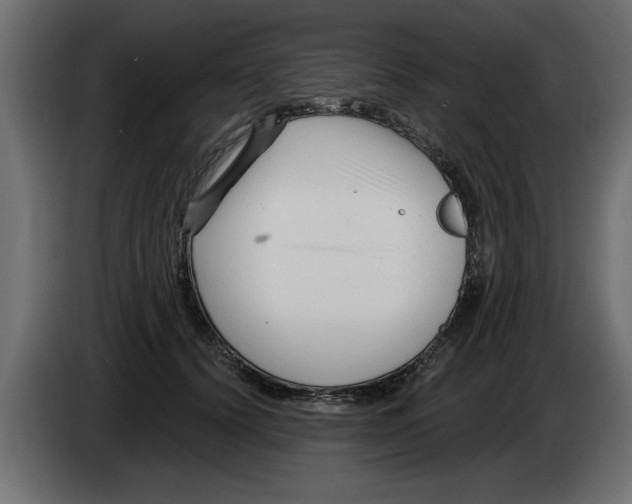 X0000082980656200703020258