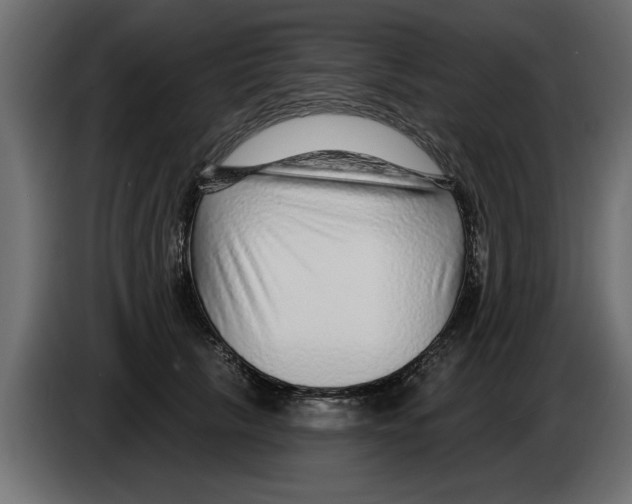 X0000082980657200703020258