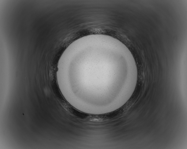 X0000082980658200703020258