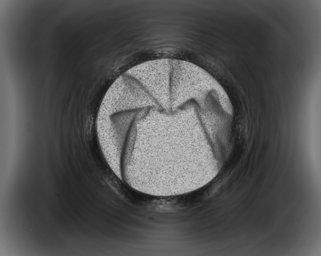 X0000082980660200703020258