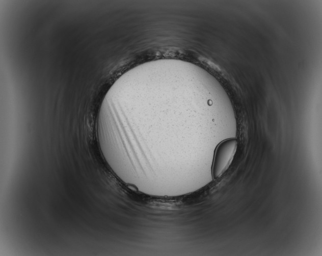 X0000082980661200703020258