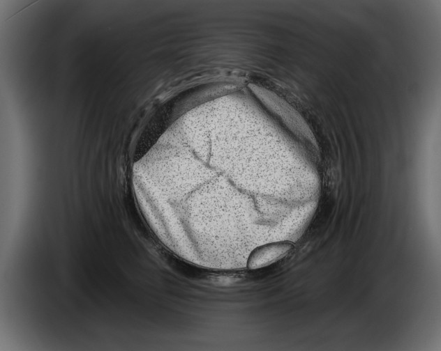 X0000082980662200703020258