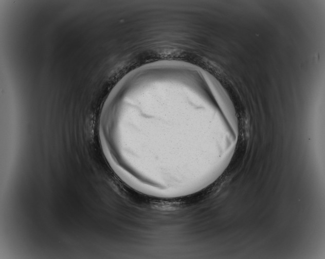 X0000082980664200703020258