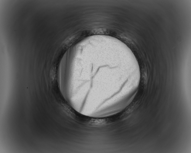 X0000082980665200703020258