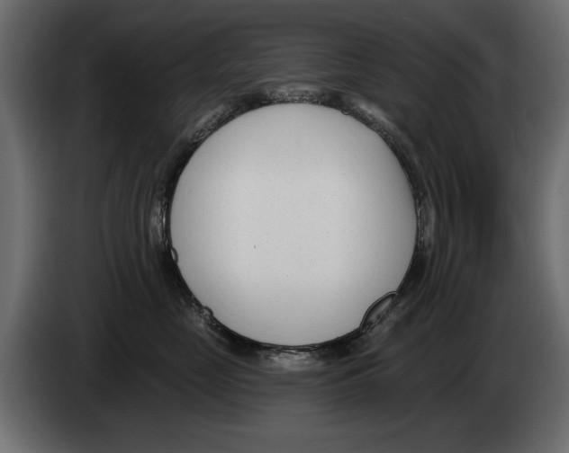 X0000082980669200703020258