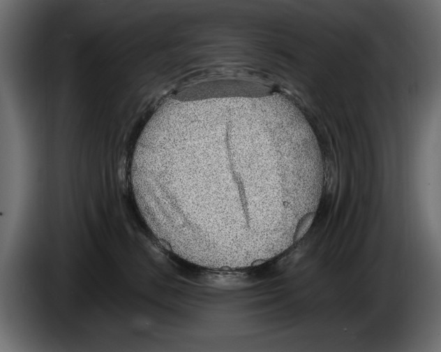 X0000082980670200703020258