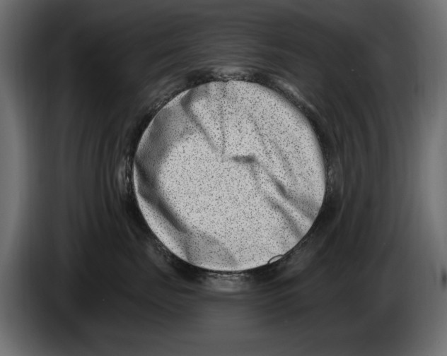 X0000082980671200703020258