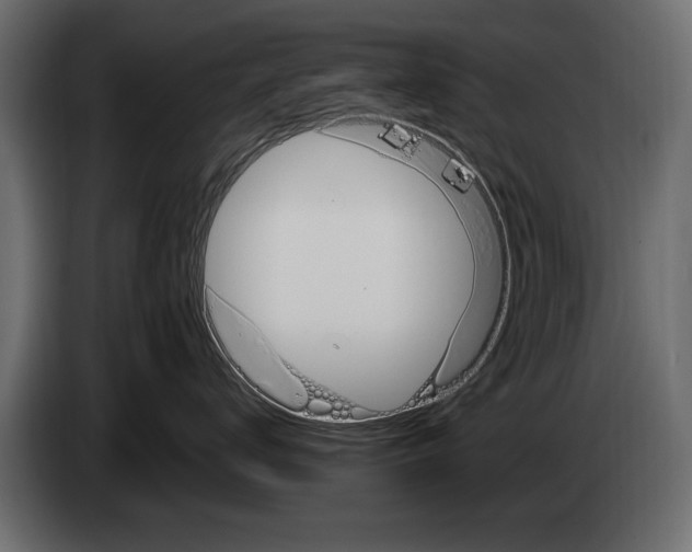 X0000082980672200703020258