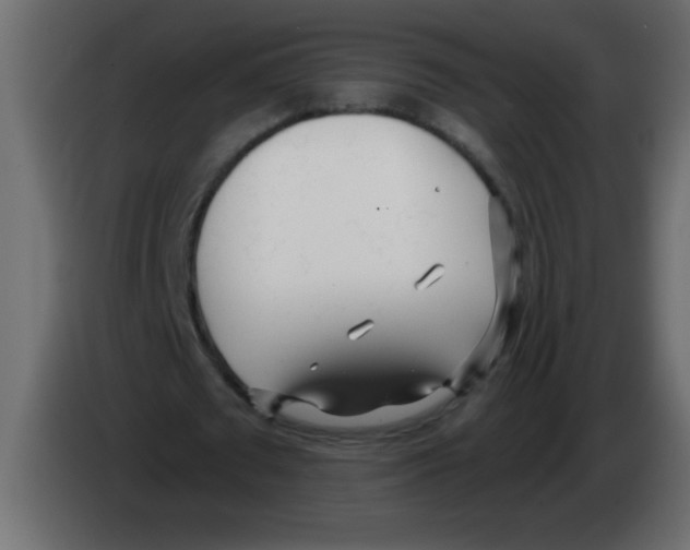 X0000082980673200703020257