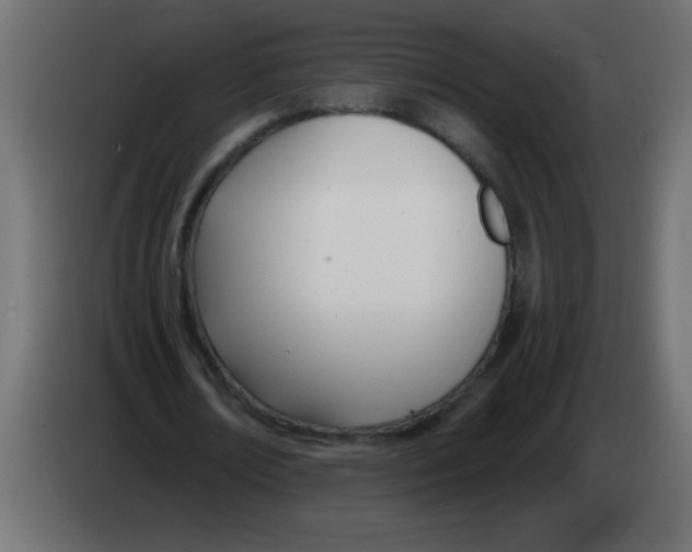 X0000082980674200703020257