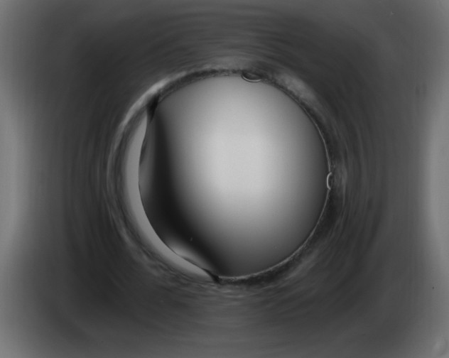 X0000082980676200703020257