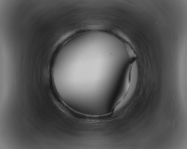 X0000082980677200703020257