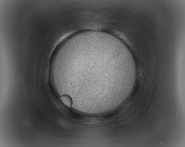 X0000082980679200703020257