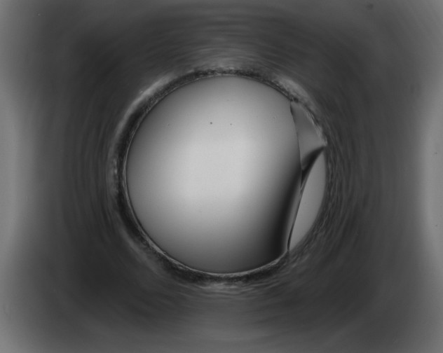 X0000082980680200703020257