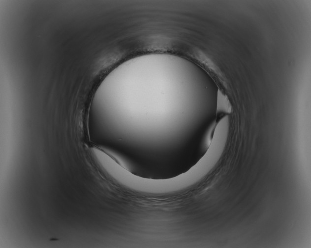 X0000082980681200703020257