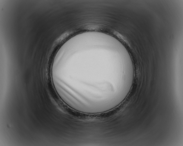 X0000082980682200703020257