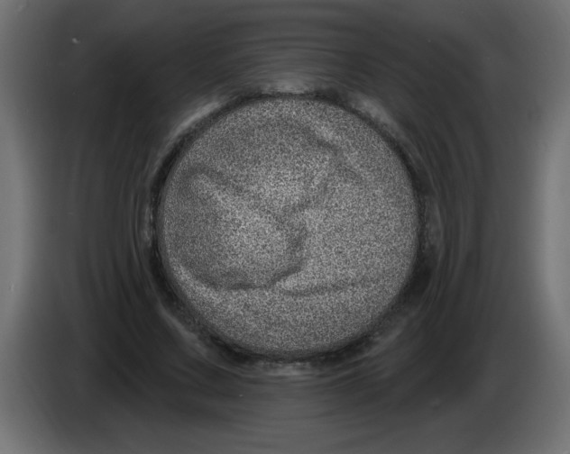 X0000082980683200703020257