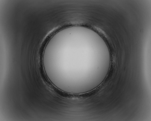X0000082980684200703020257