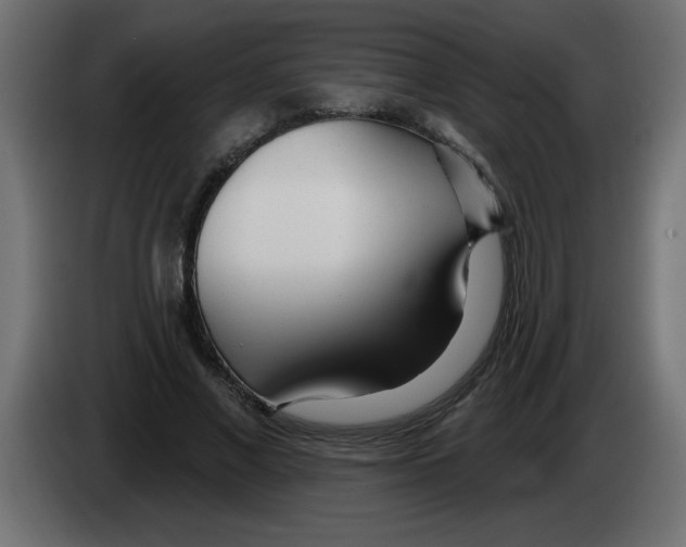 X0000082980685200703020257