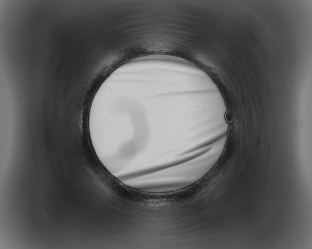 X0000082980686200703020257