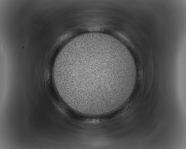 X0000082980687200703020257