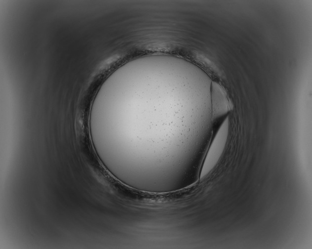 X0000082980688200703020257