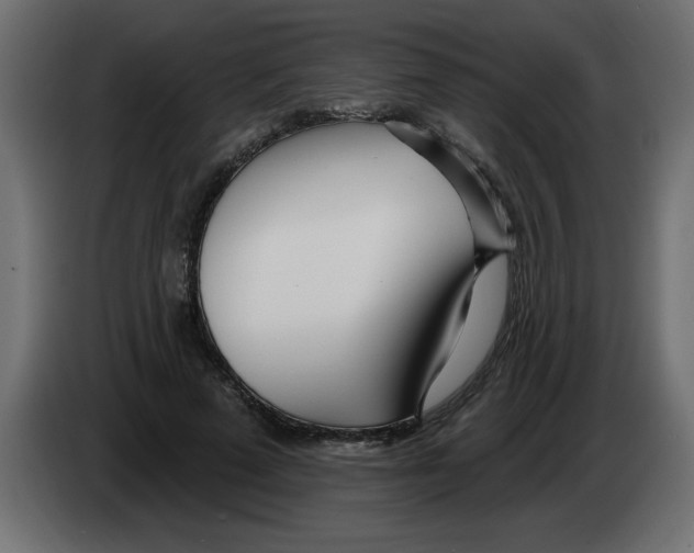 X0000082980689200703020257