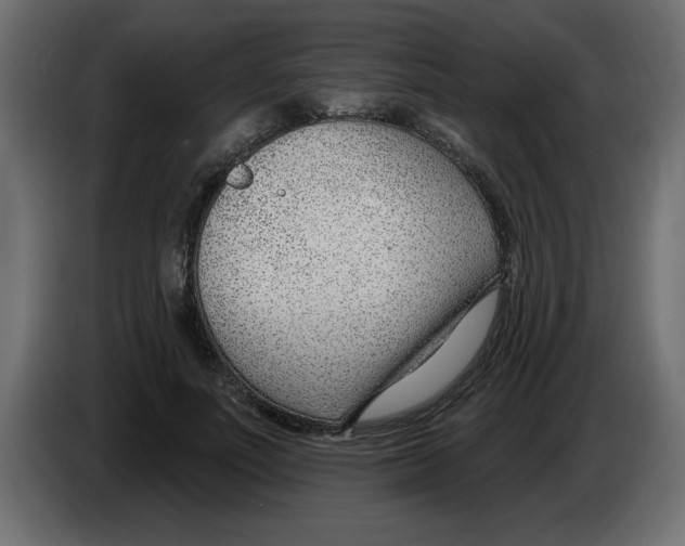 X0000082980691200703020257