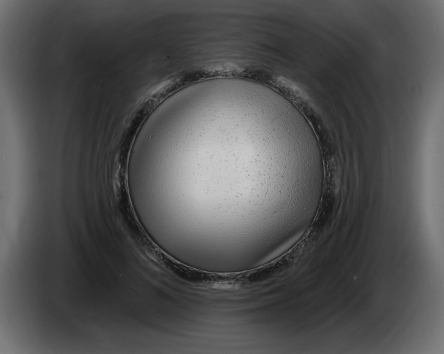 X0000082980692200703020257