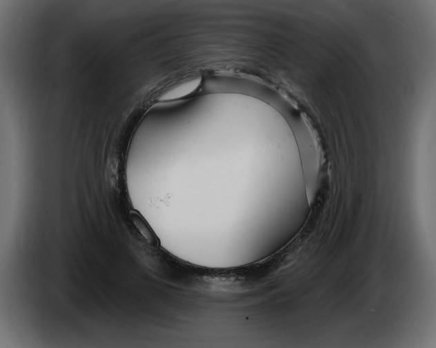 X0000082980693200703020257
