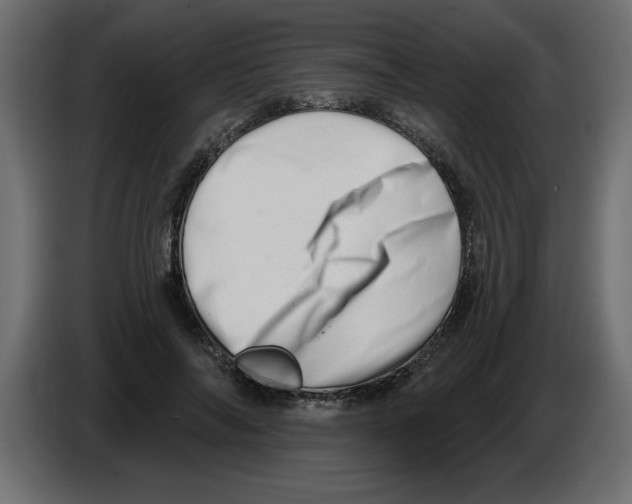 X0000082980694200703020257
