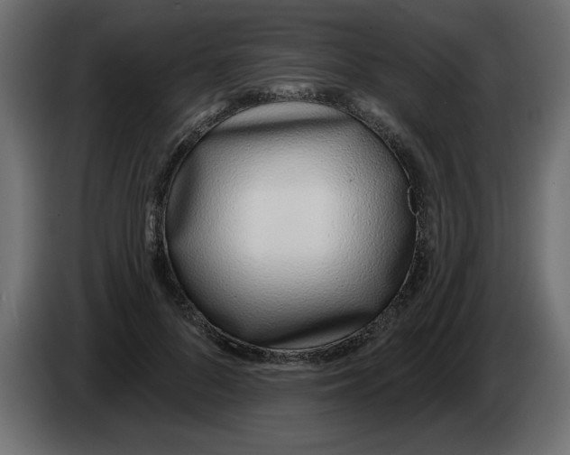 X0000082980696200703020257