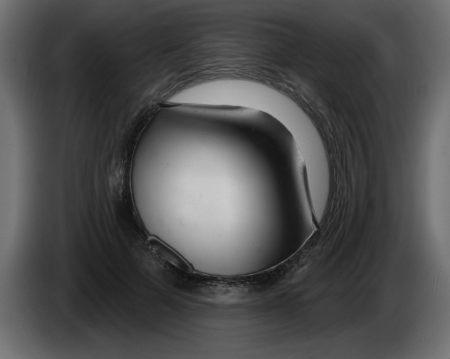 X0000082980697200703020257