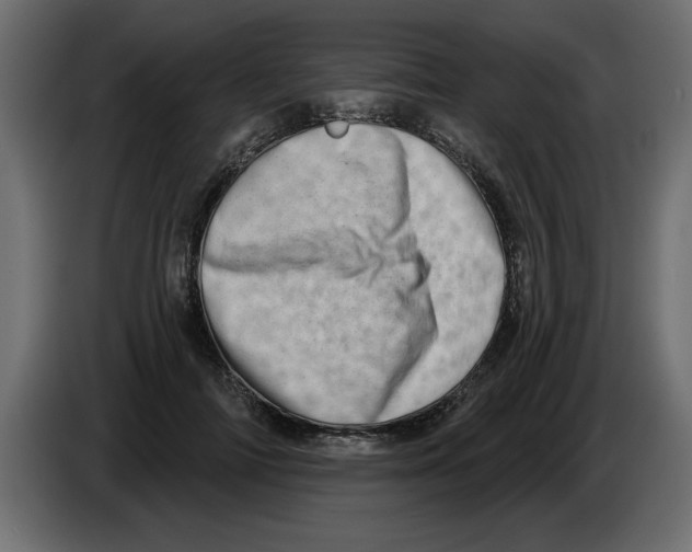 X0000082980698200703020257